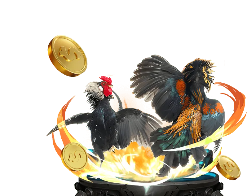 Giao diện nền tảng V388 đá gà trực tiếp